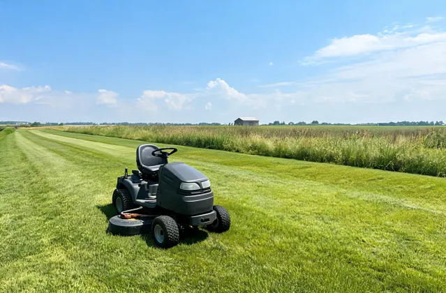 Open lawn with a visible mowing route